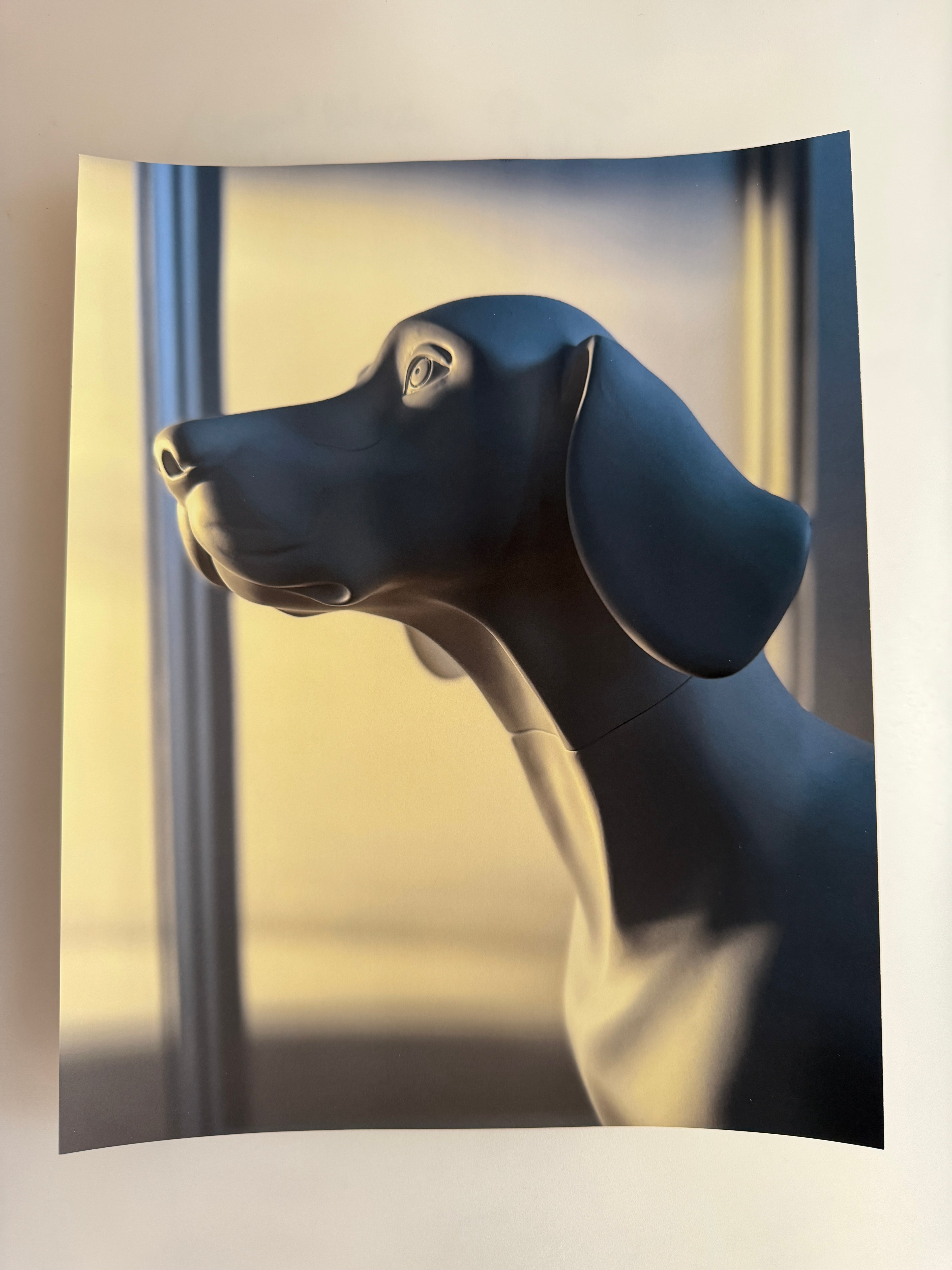 Envelope no. 6 (Dog that doesn't bark)