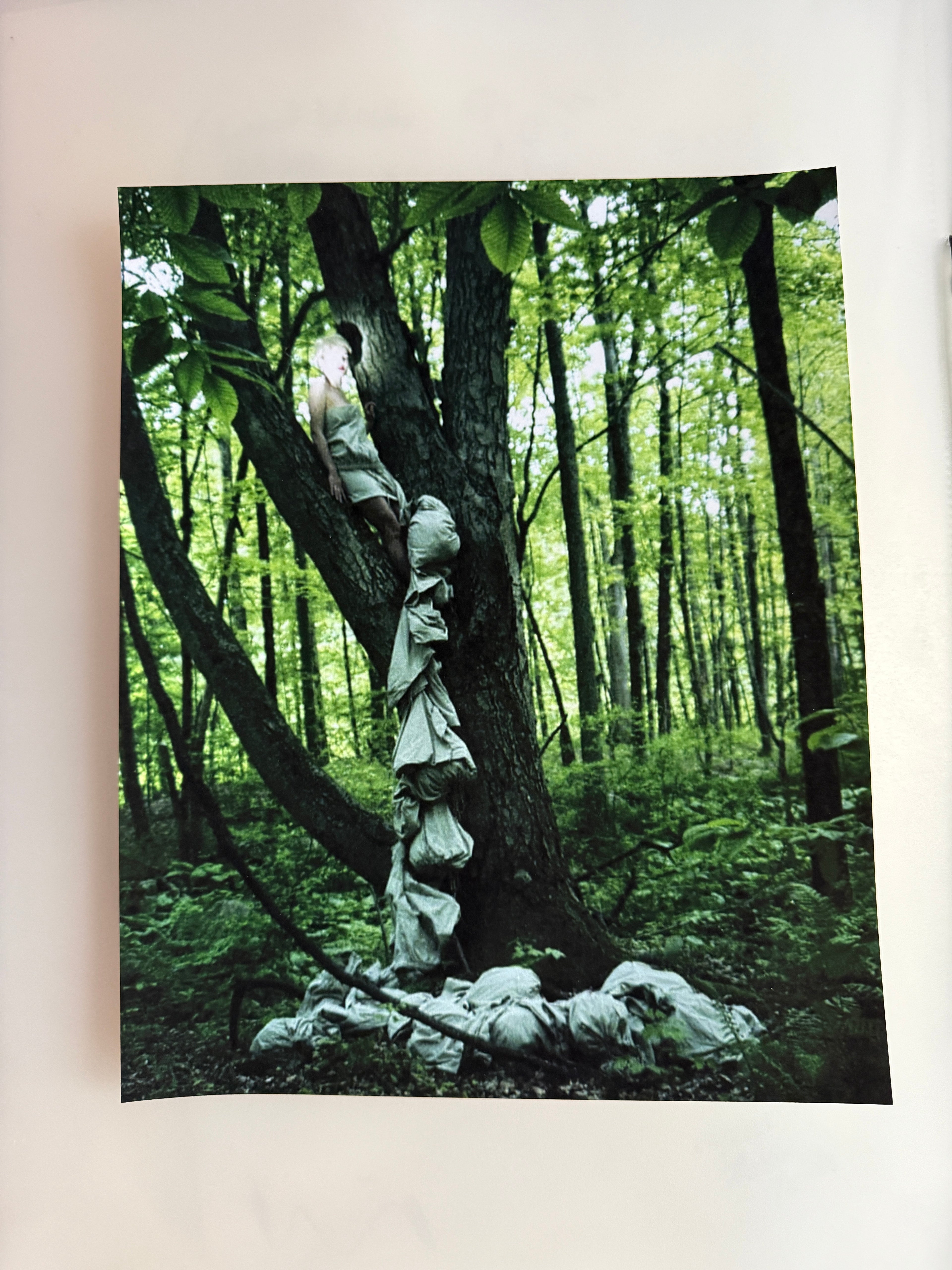 Envelope no. 10 (Ava in a tree)