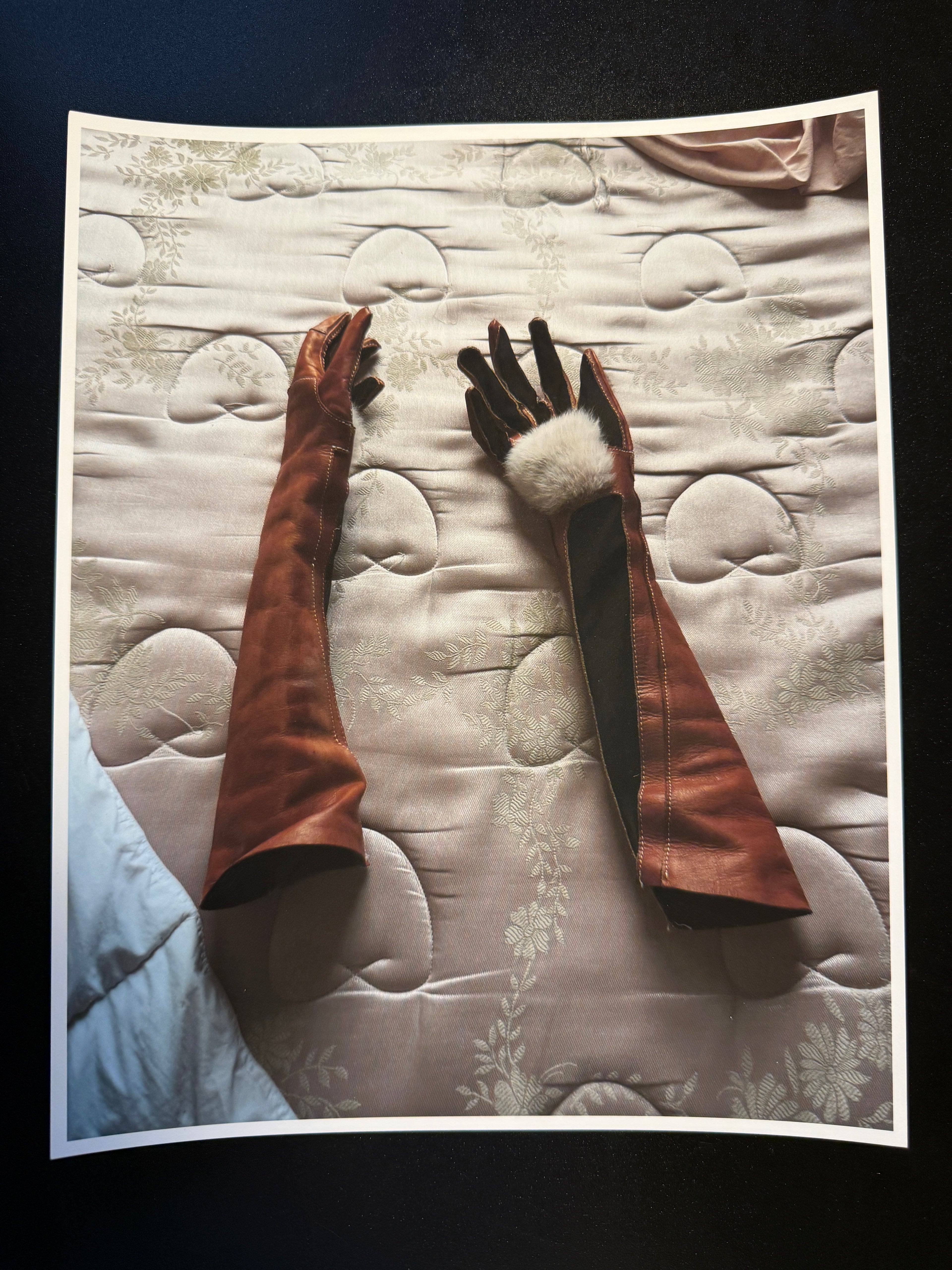 Envelope no. 18 (Rabbit gloves on floral mattress)
